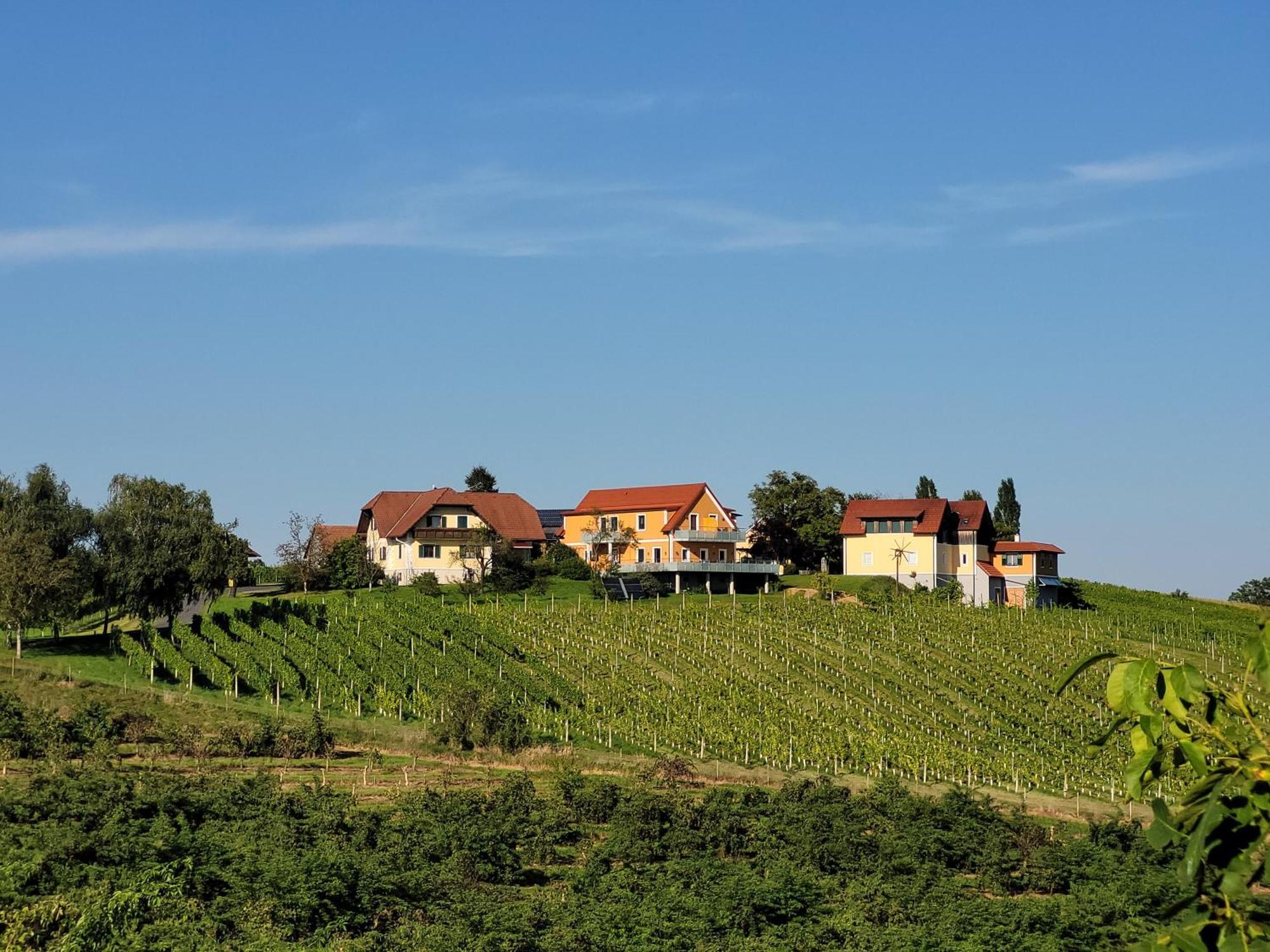 Weinhof Reichmann Bed & Breakfast Sankt Peter am Ottersbach Dış mekan fotoğraf
