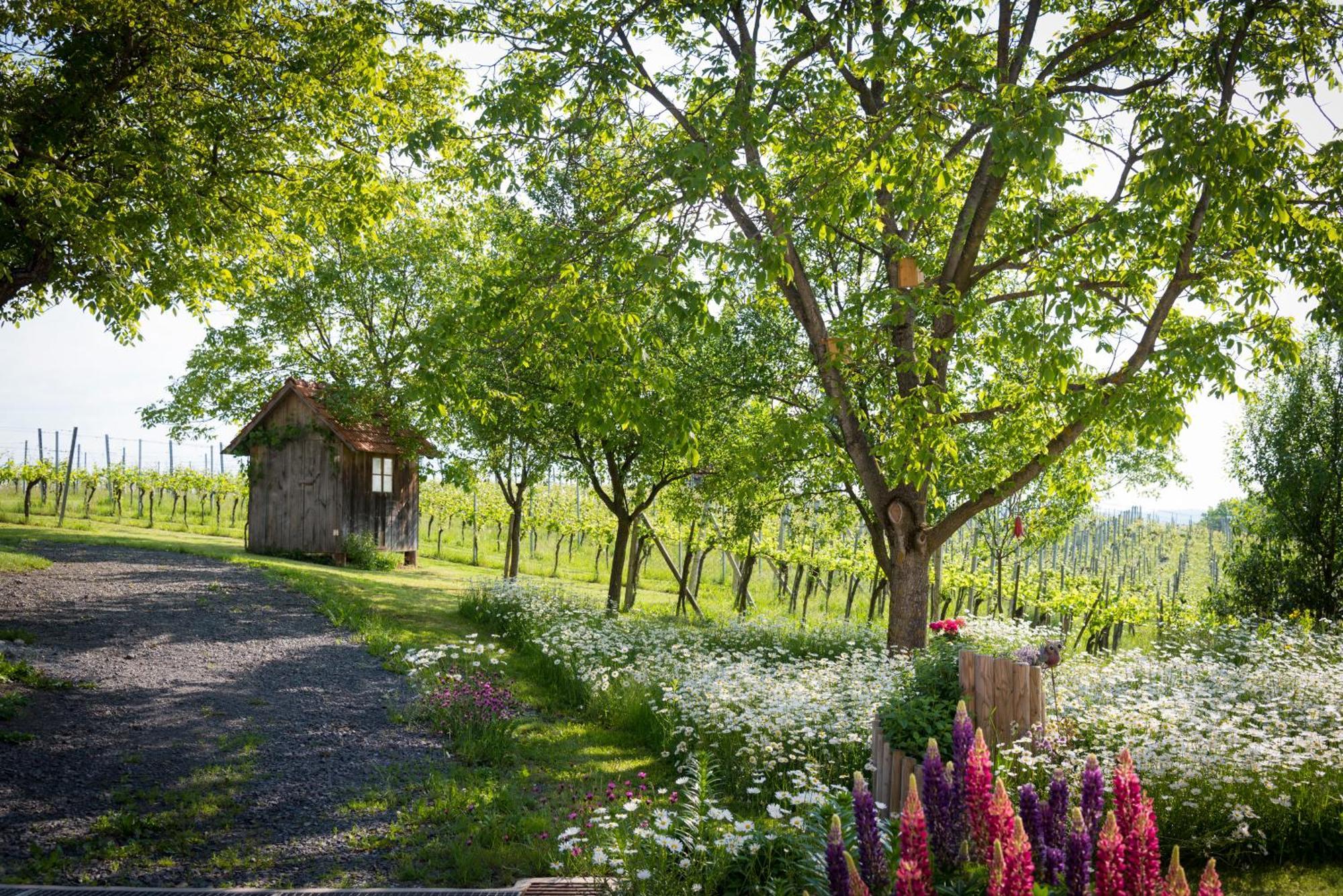 Weinhof Reichmann Bed & Breakfast Sankt Peter am Ottersbach Dış mekan fotoğraf
